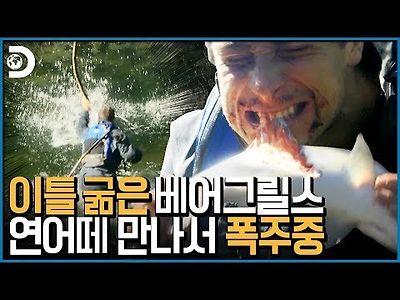 이틀 굶은 베어그릴스..... 사람이 아님