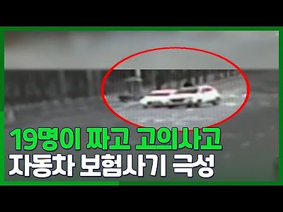 19명이 짜고 고의사고.. 자동차 보험사기 극성