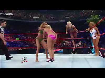 WWE RAW Divas Swimsuit Tag Tea…