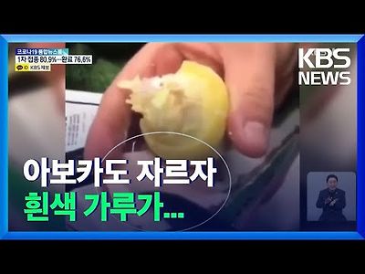 2천만 명 동시 투약분 역대 최대 코카인 밀수 적발