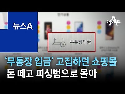 ‘무통장 입금’ 고집하던 쇼핑몰…돈 떼고 피싱범으로 몰아