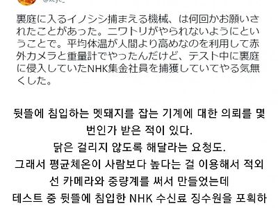 멧돼지 잡는 기계로 잡은것