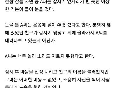 한밤중 냉장고 위에서 날 내려다 보는 친구