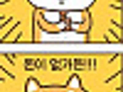 맞지 맞지