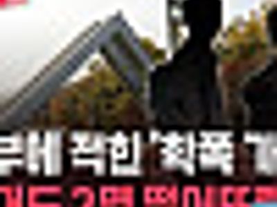 이런뉴스  나올때마다 좋음