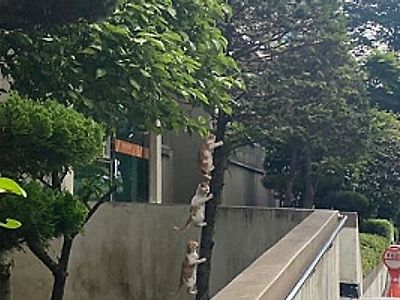 보는 묘미가 있구만