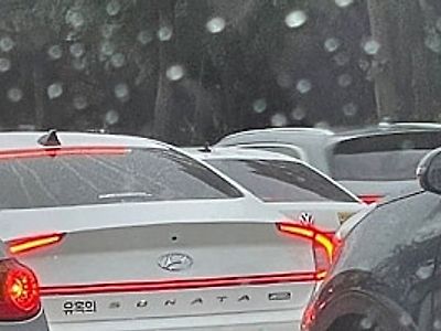차추 최소 30대임