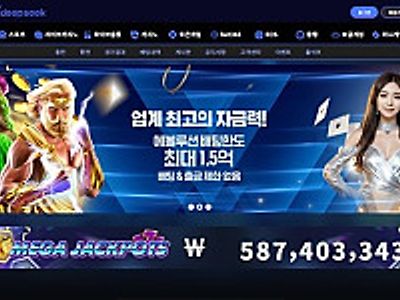 딥시크