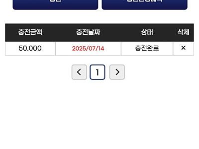 라쿤 후기
