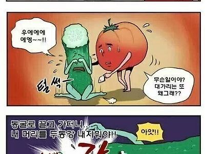 채식주의자