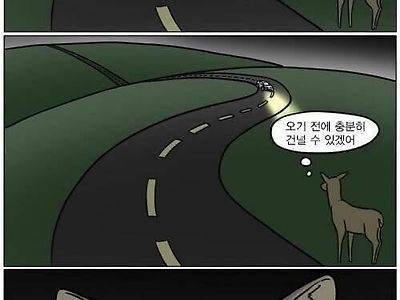 전지적 고라니 시점