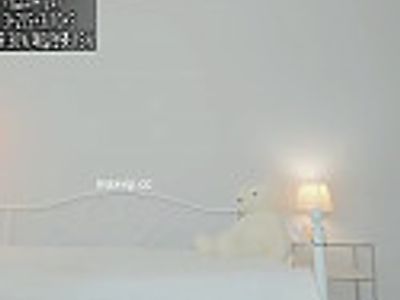[여캠비디오] BJ레나-2023-07-11