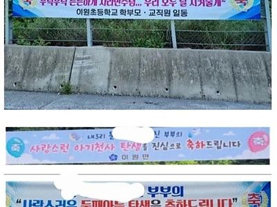 이정도면 걸만하지