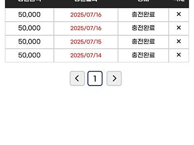 라쿤후기