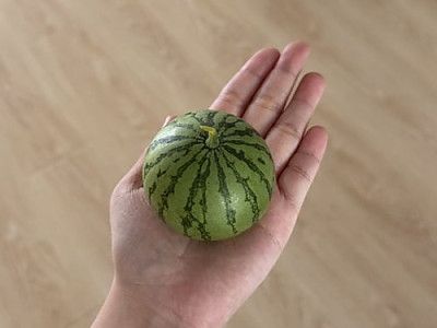 무화과인줄ㅎㅎ