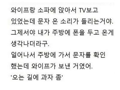 천재 와이프