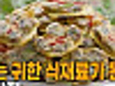귀한 식재료가된 꼬막