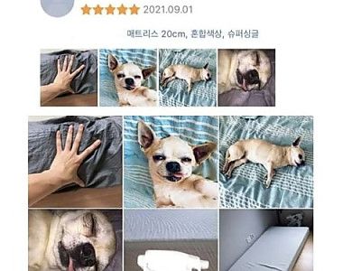 신뢰도 200%