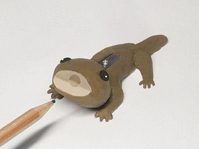 목도리 도마뱀ㅋㅋㅋ