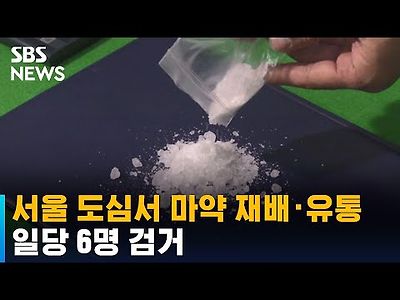 서울 도심서 14만 명분 마약 재배 · 유통한 일당 구속