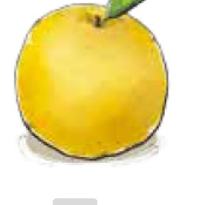 Foreen 포린의 브런치스토리