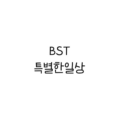 BST특별한일상 :: 폰트추천리뷰