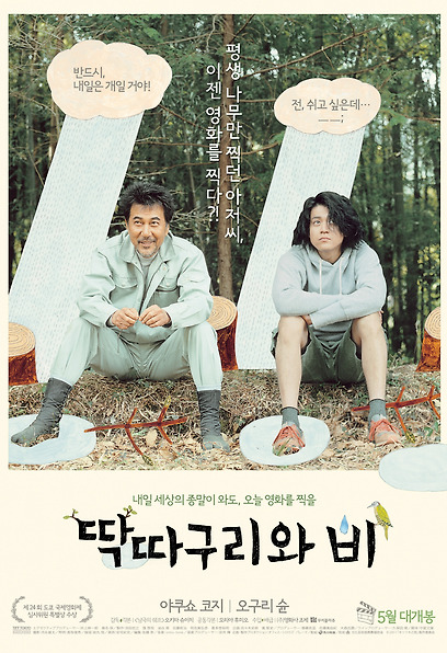 딱따구리와 비 포스터