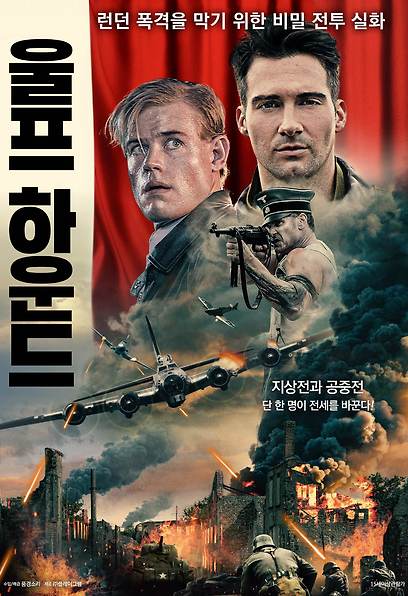울프 하운드