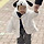young 프로필