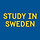 스터디인스웨덴 프로필