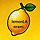 lemon LA 프로필