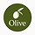Olive 프로필
