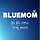Bluemom 프로필