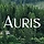 AURIS 프로필