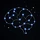 Neurosophy 프로필
