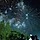붓과쇠 프로필