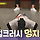 10초안에 팔굽혀펴기 5개 하는 송지효.gif