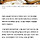 뜨거워진 제주바다..'난류성' 고등어·갈치 어획량↑