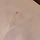 ㅠㅠㅠㅠ<b>수성</b>플러스펜 물로 지워져??