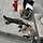 바람피다 현장에서 걸린 고양이.gif