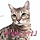 뱅갈 고양이 <b>집사</b> 달글 🐯🐱🐅🐈🐅🐈🐅🐈🐅🐈🐅🐈🐅🐈🐅🐈🐅🐈