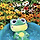 🌊🐸 수원특례시 달글 32차 🐸🌊