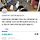 50마리 고양이들이 갈곳을 잃었습니다..