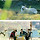 강형욱도 처음 보는 통통한 <b>진돗개</b>