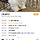 <b>안산</b> 보호소에 들어온 말티 아가인데 특이사항 너무 귀여워