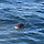 아빠 <b>포항</b>에서 일하는데