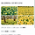 <b>서산</b> 유기방가옥 수선화 보러 가고싶다
