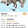 안락사 앞둔 유기견 홍보