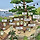 🌼 <b>전라남도</b> 목포 달글 16차 🌼