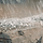 숯불 통삼겹살.gif